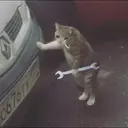 Стикер