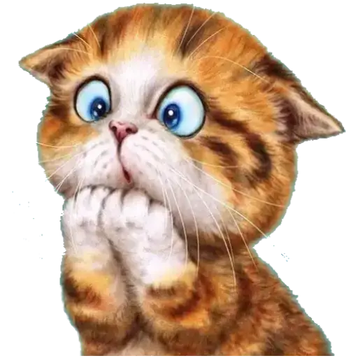 Quacks & Meows Mov 11