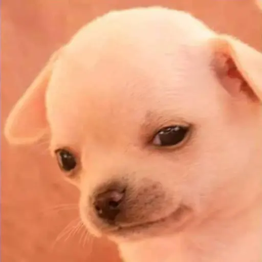 Perrito Tóxico 26