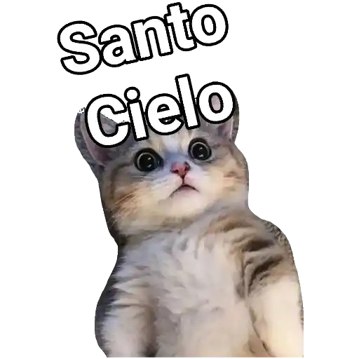 😻Meowman😻 Mov 18