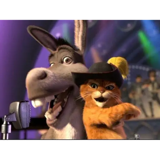 Gato con botas y burro 23