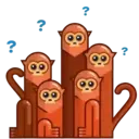 Colour The Monkey ️Nazaralnazrii ️ 24
