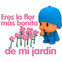 PoCoYo 23