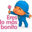 PoCoYo 14