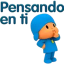 PoCoYo 29