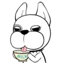 Funny White Dog MOV 2