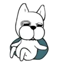 Funny White Dog MOV 11