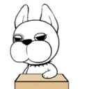 Funny White Dog MOV 13