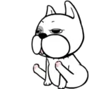 Funny White Dog MOV 12