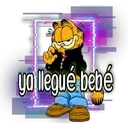Garfield 12