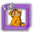 Garfield 2