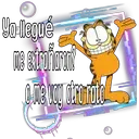 Garfield 22