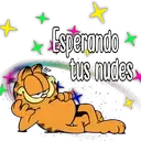 Garfield 27