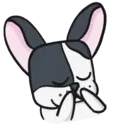 ● Dog Boo Mov. ● 2