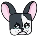 ● Dog Boo Mov. ● 14
