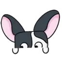 ● Dog Boo Mov. ● 4