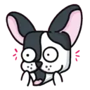 ● Dog Boo Mov. ● 10