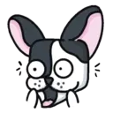● Dog Boo Mov. ● 5