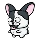 ● Dog Boo Mov. ● 8