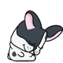 ● Dog Boo Mov. ● 7