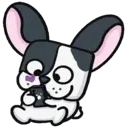 ● Dog Boo Mov. ● 6