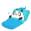 Buenas noches 13