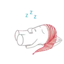Buenas noches 17