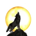 चन्द्रमा 9