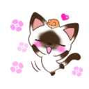 C 2 YUKI 2
