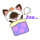 C 2 YUKI 15