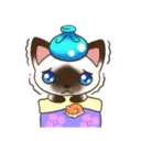 C 2 YUKI 13