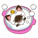 C 2 YUKI 1