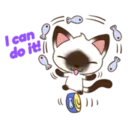 C 2 YUKI 14