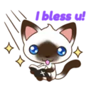 C 2 YUKI 4