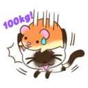 C 2 YUKI 6