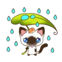 C 2 YUKI 7
