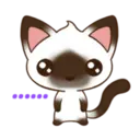 C 2 YUKI 16