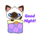 C 2 YUKI 5