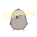 Blcak & White Chick3 6