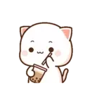 MOCHIS CAT #13MOV 13