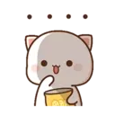 MOCHIS CAT #13MOV 16