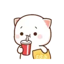 MOCHIS CAT #13MOV 21