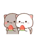 MOCHIS CAT #13MOV 6