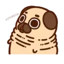 •● Puglie Pug Mov. ●• 16