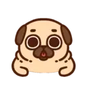 •● Puglie Pug Mov. ●• 5