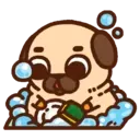 •● Puglie Pug Mov. ●• 8