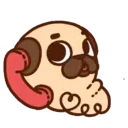 •● Puglie Pug Mov. ●• 10
