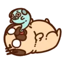 •● Puglie Pug Mov. ●• 1