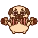● Puglie Pug #2 Mov. ● 13