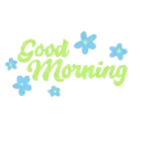Good morning 29